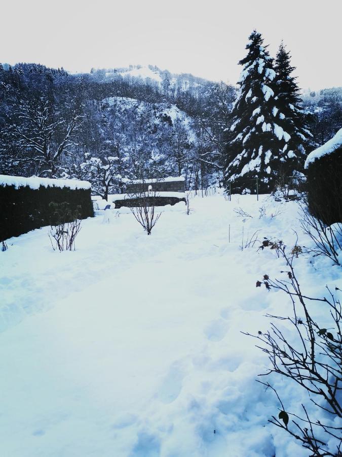 Carpe Diem - Cote-Montagnes Oderen Экстерьер фото